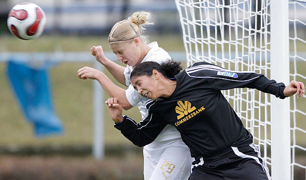 供了理想的 供了理想的